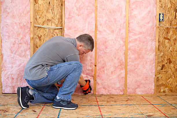 Best Blown-in Insulation  in Somerdale, NJ